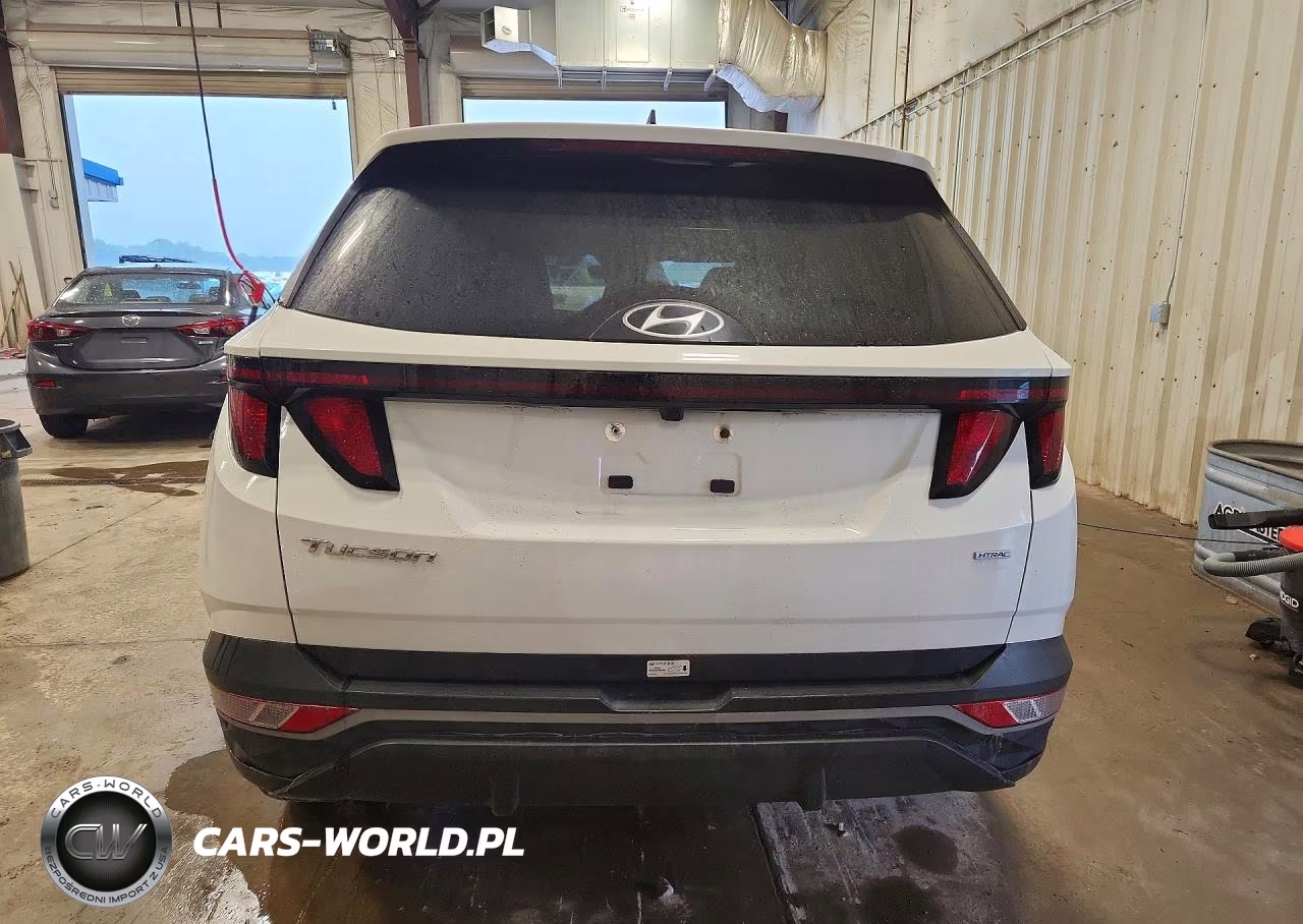 2024 Hyundai Tucson Sel VIN:5NMJBCDE7RH383048 - 6