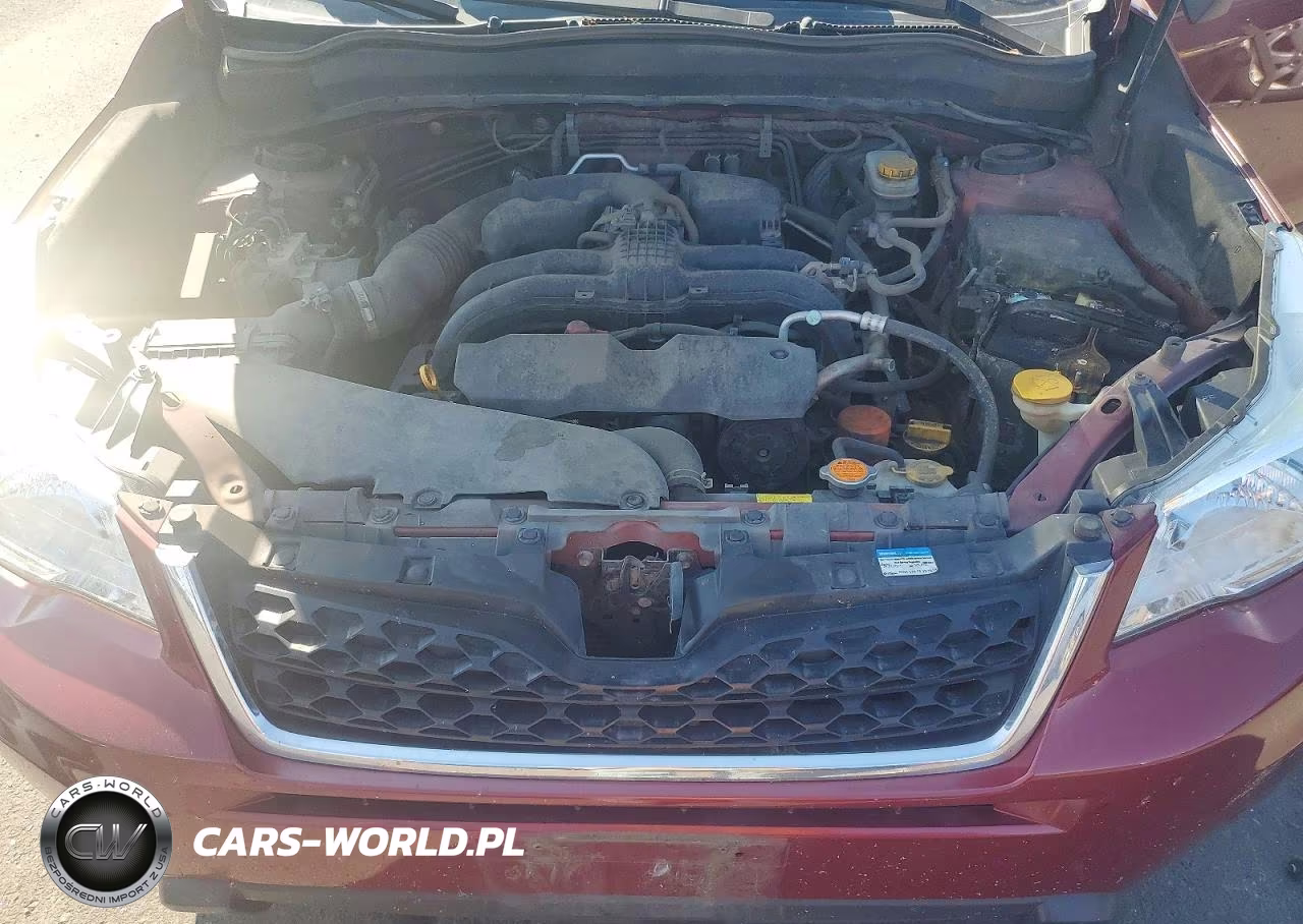 2016 Subaru Forester 2.5I Premium VIN:JF2SJAGC8GH568599 - 11