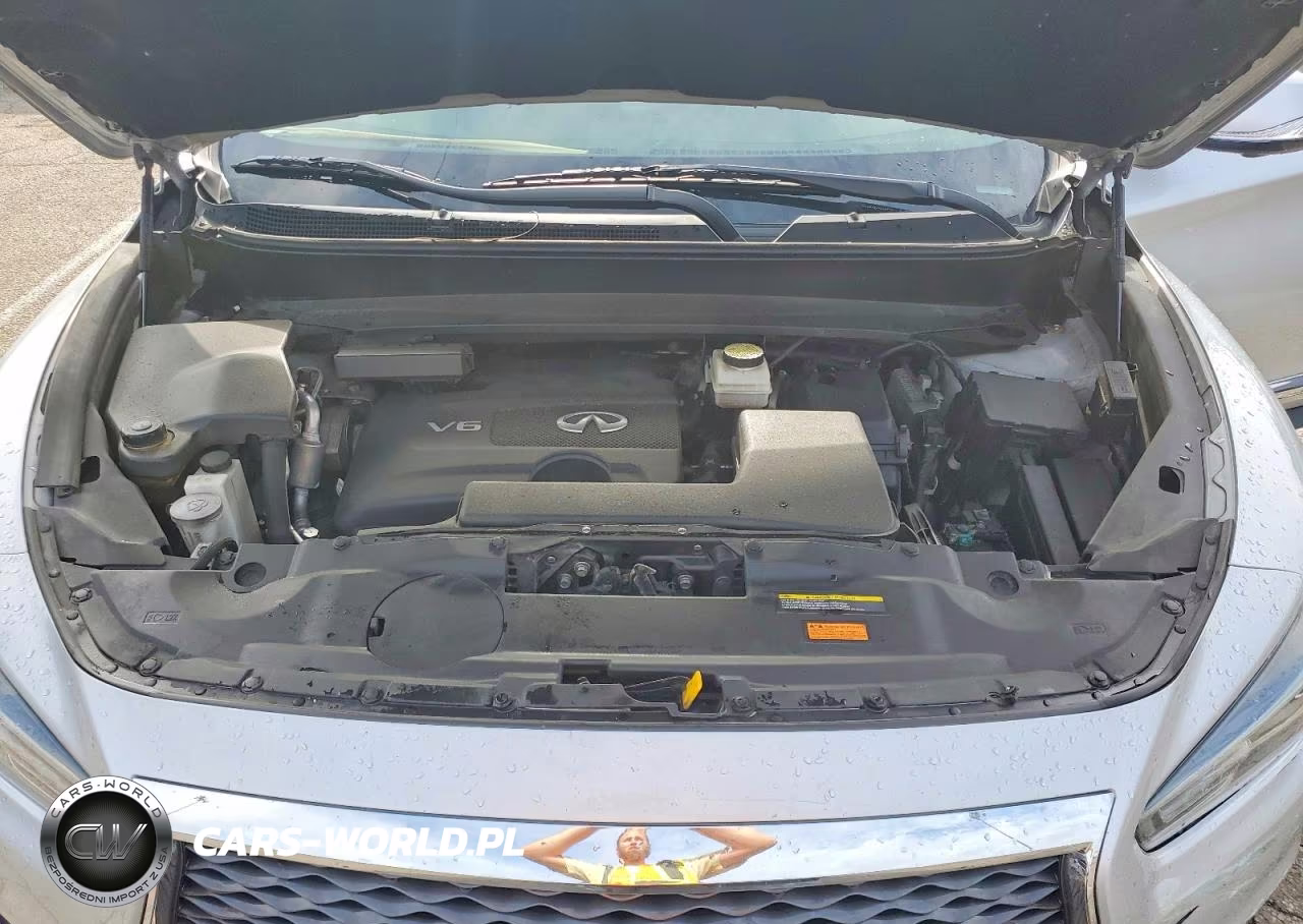 2019 Infiniti Qx60 Luxe VIN:5N1DL0MM7KC559094 - 12