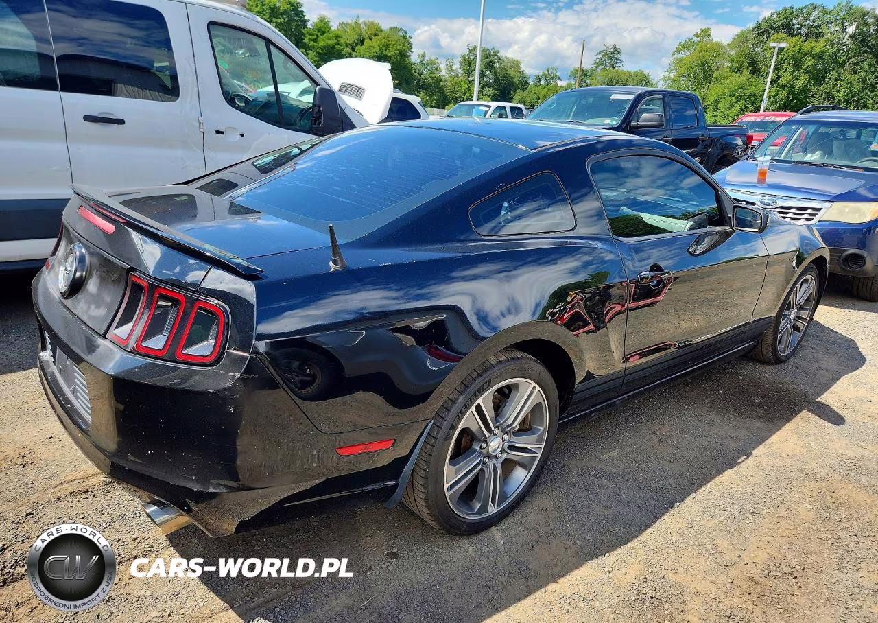 2013 Ford Mustang VIN:1ZVBP8AM9D5277577 - 3