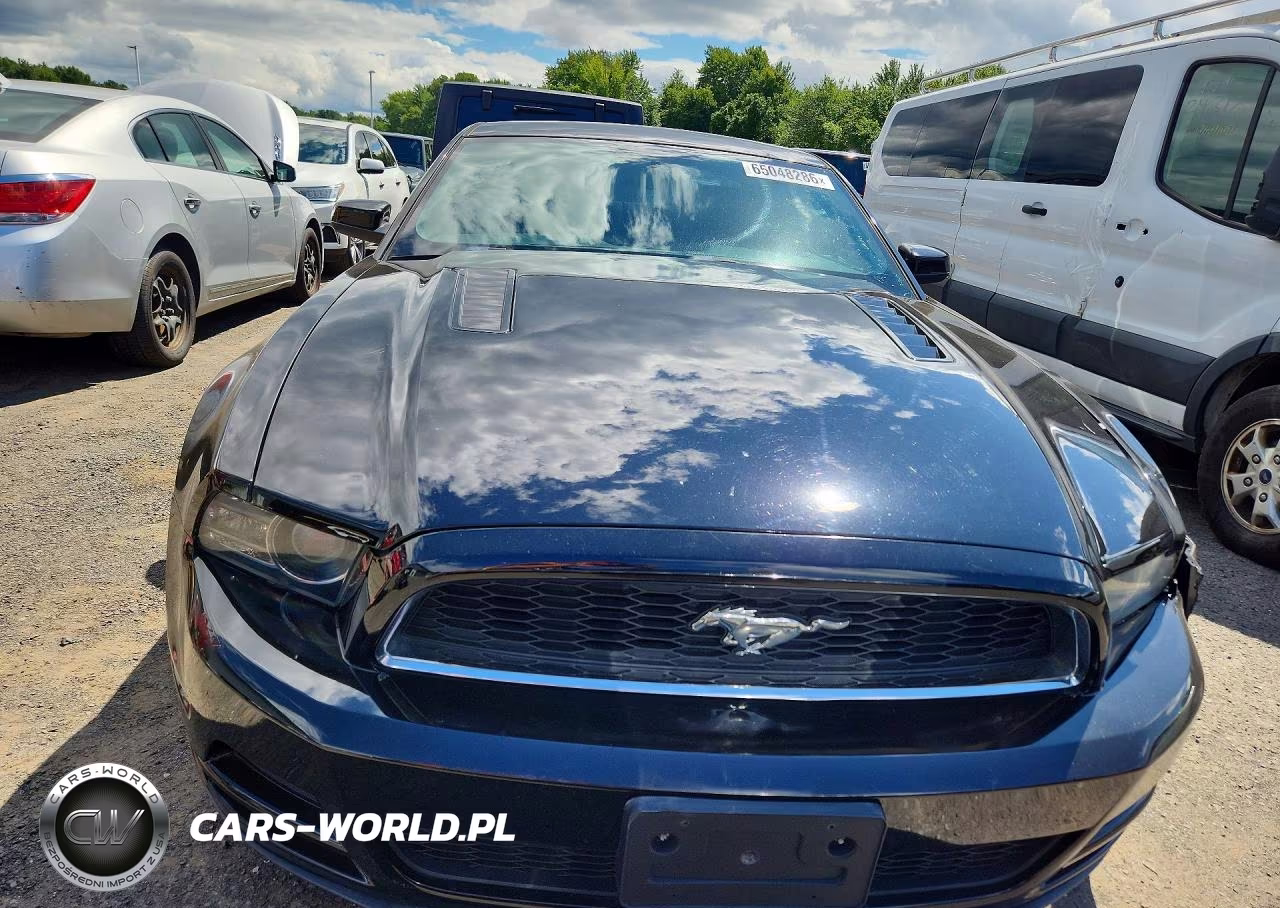 2013 Ford Mustang VIN:1ZVBP8AM9D5277577 - 5
