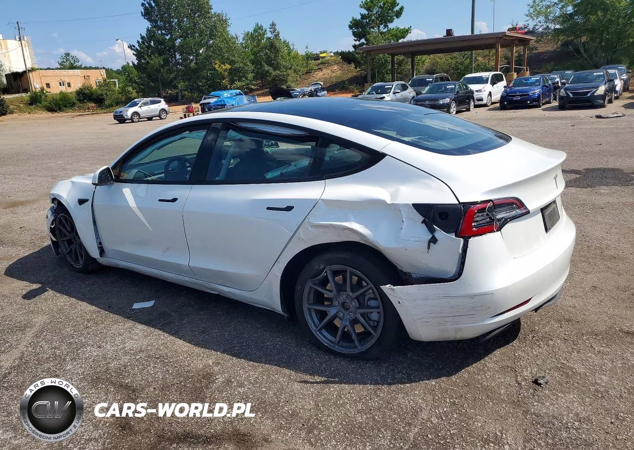 2022 Tesla Model 3 VIN:5YJ3E1EB9NF335636 - 2