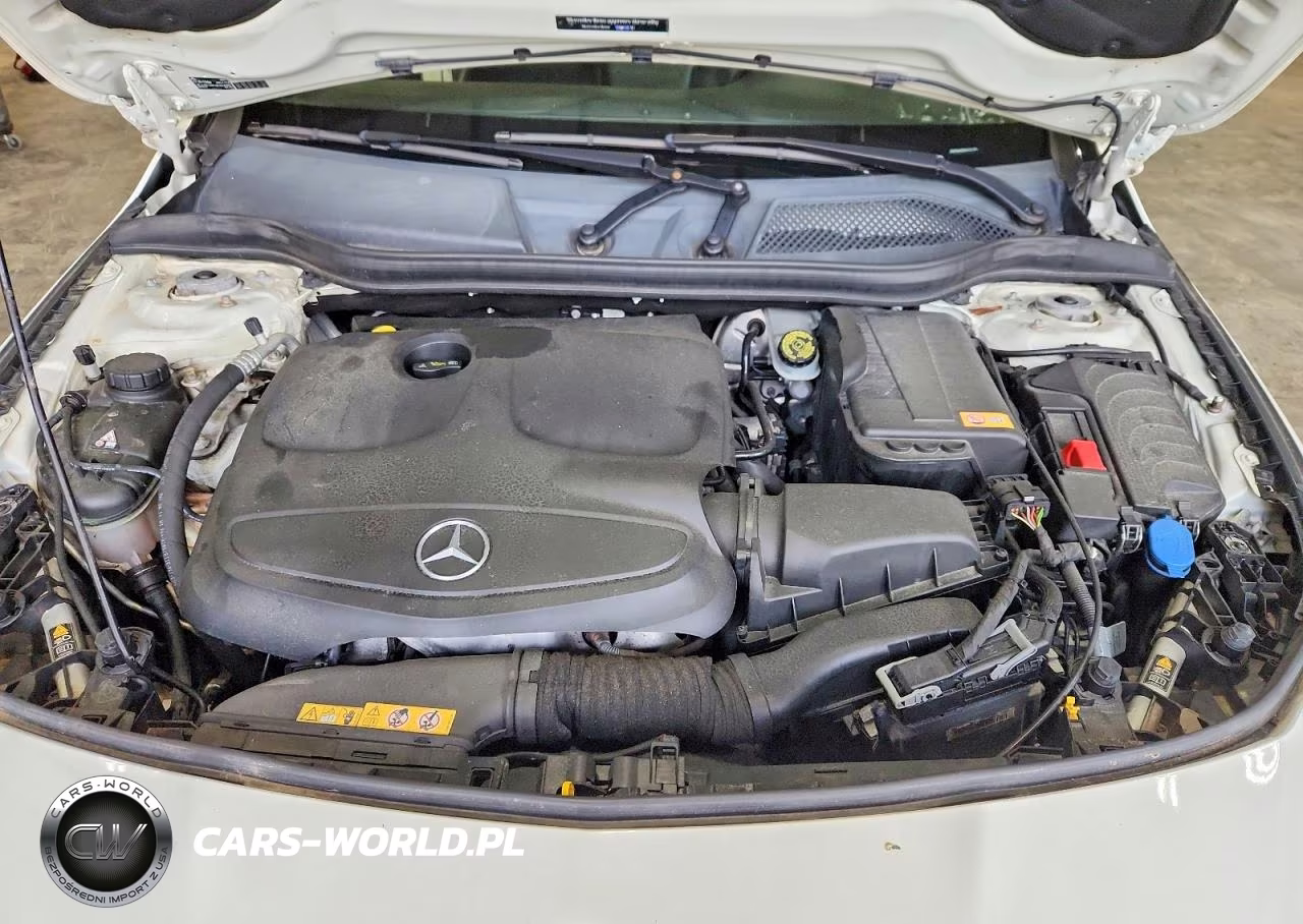 2014 Mercedes-Benz Cla 250 VIN:WDDSJ4EB5EN157191 - 11