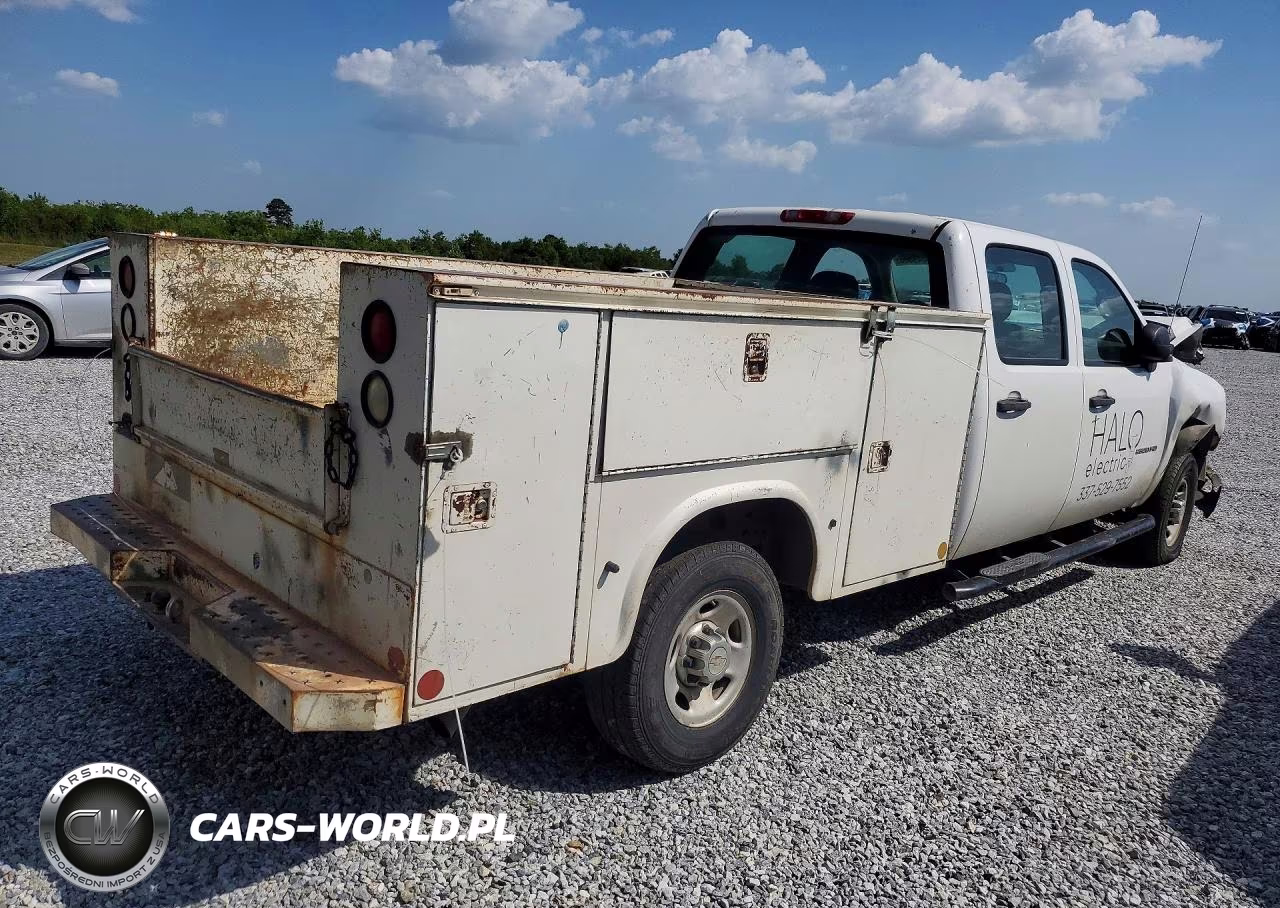 2010 Chevrolet .Ck2500 VIN:1GC4CVBG2AF139934 - 3