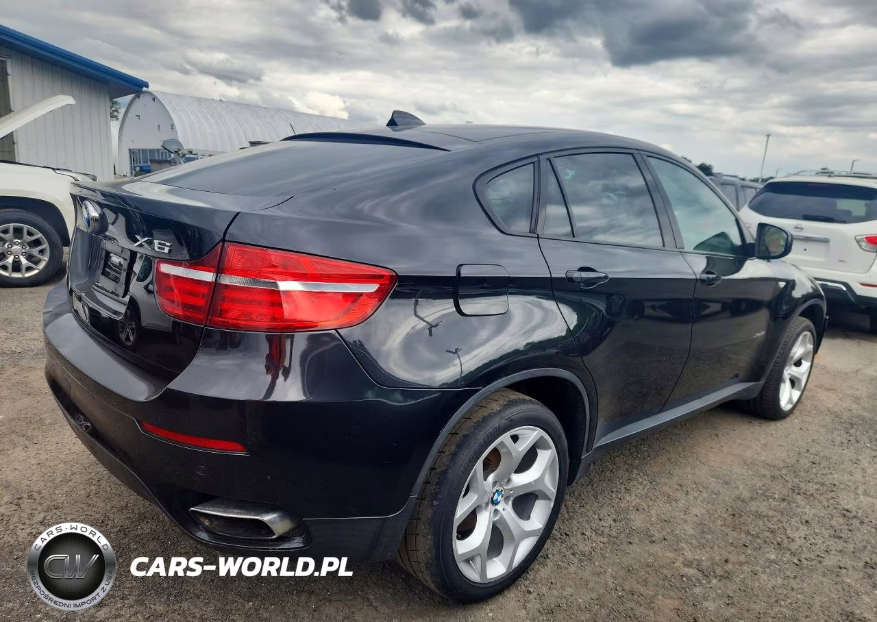2013 BMW X6 xDrive50I VIN:5UXFG8C57DL591667 - 3