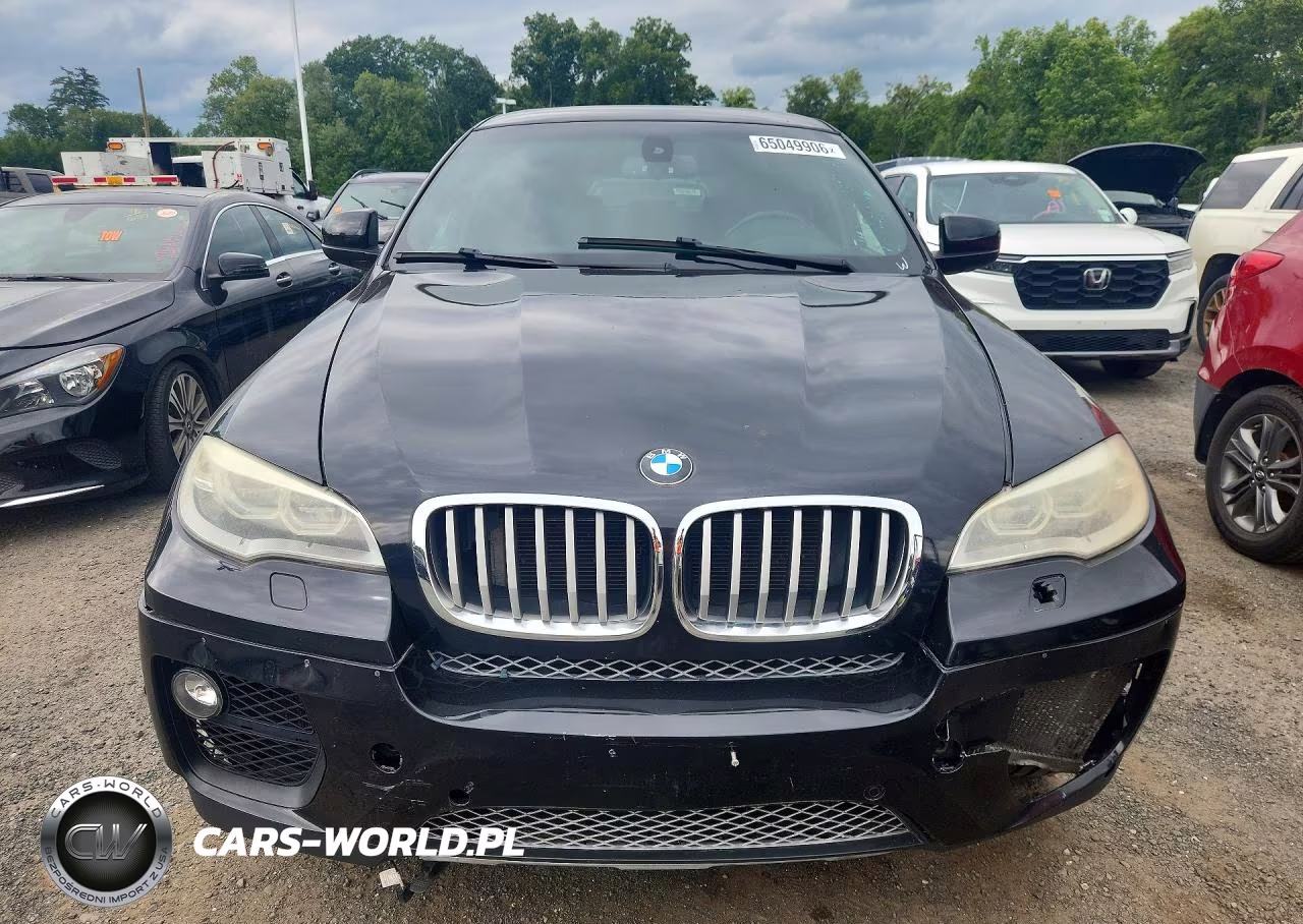 2013 BMW X6 xDrive50I VIN:5UXFG8C57DL591667 - 5