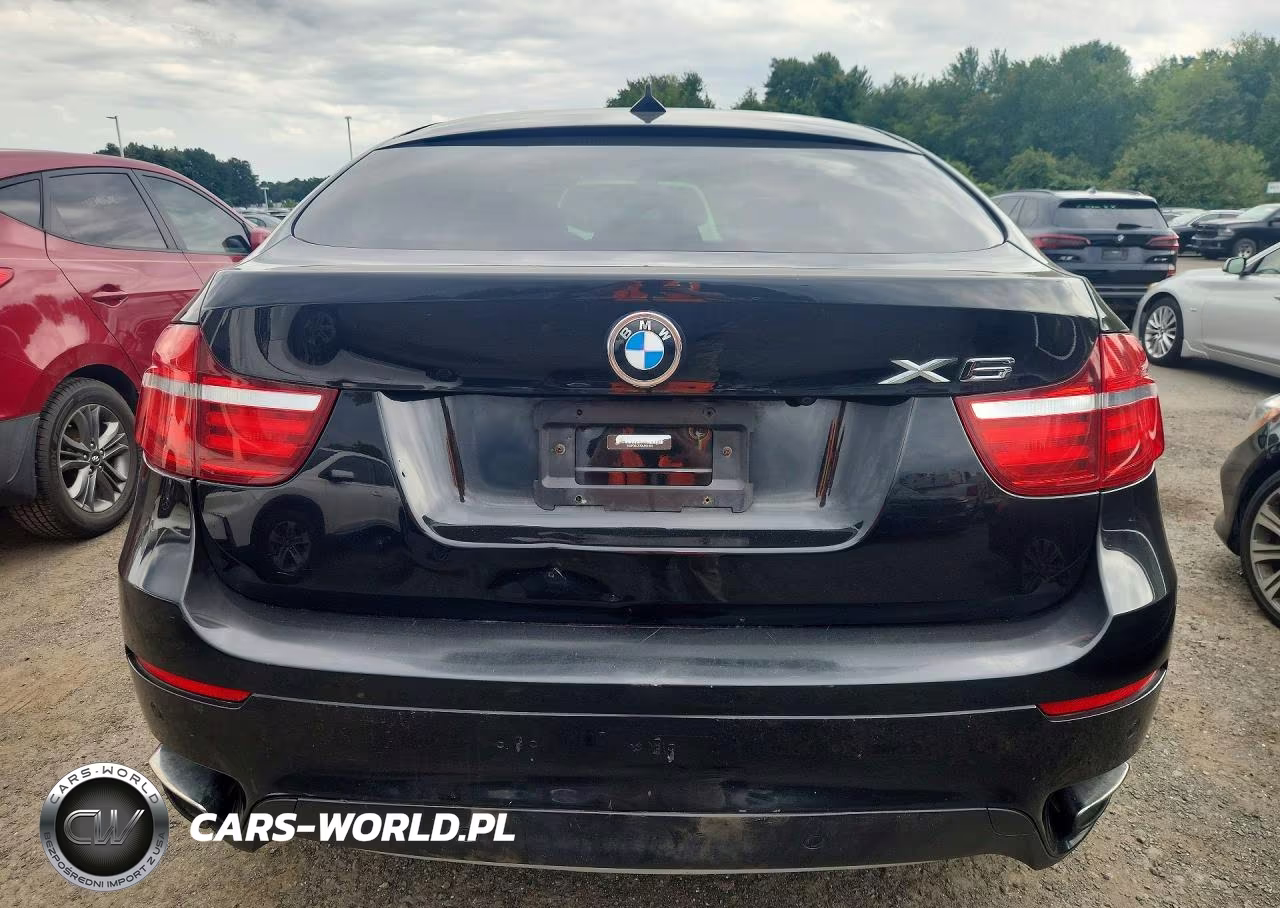 2013 BMW X6 xDrive50I VIN:5UXFG8C57DL591667 - 6