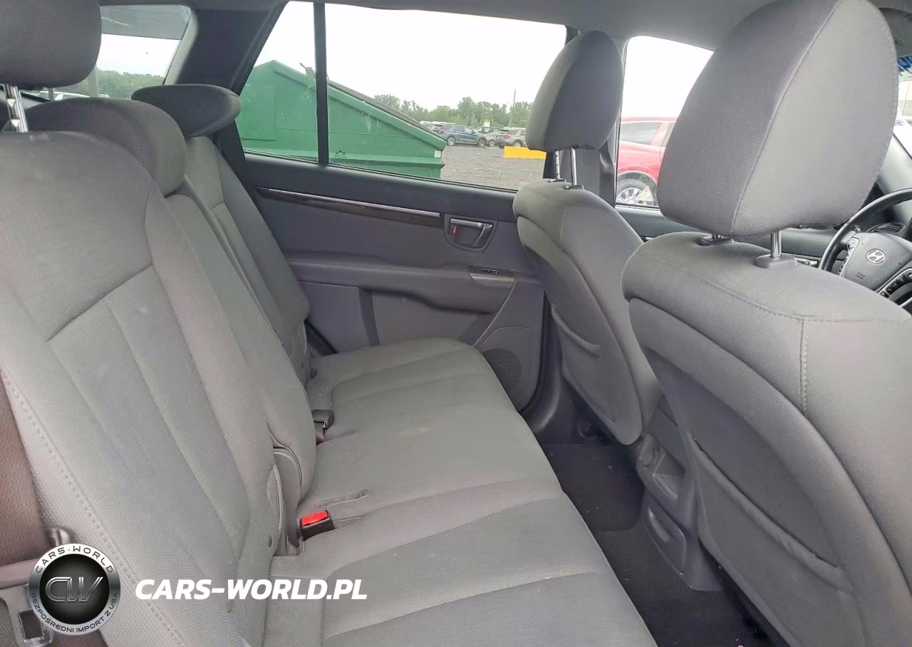 2010 Hyundai Santa Fe Gls VIN:5NMSG3AB2AH392941 - 11