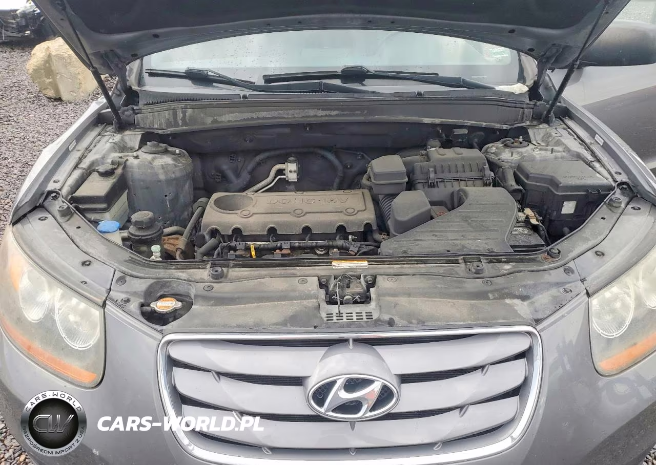 2010 Hyundai Santa Fe Gls VIN:5NMSG3AB2AH392941 - 12