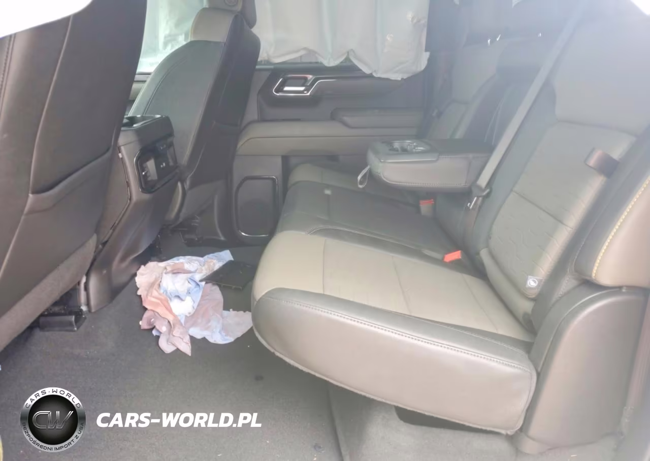 2024 Chevrolet Silverado K1500 Zr2 VIN:3GCUDHEL5RG313237 - 10