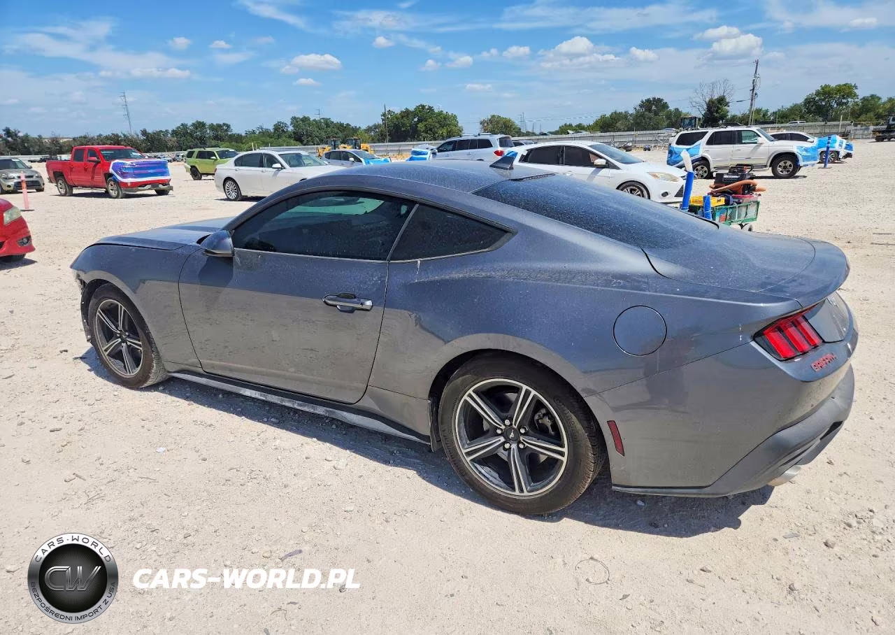 2025 Ford Mustang VIN:1FA6P8TH8S5124101 - 2