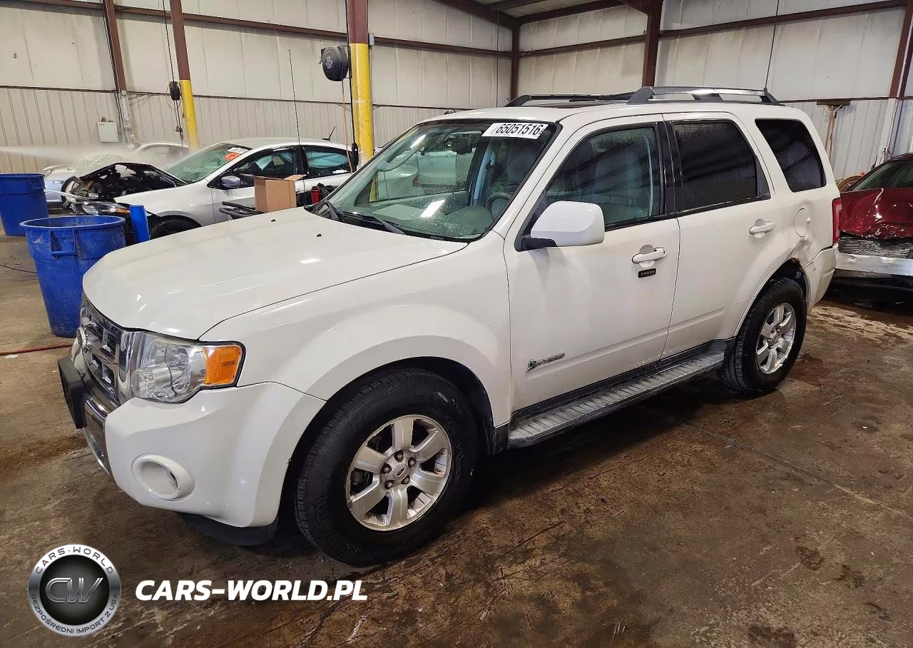 2010 Ford Escape Hybrid