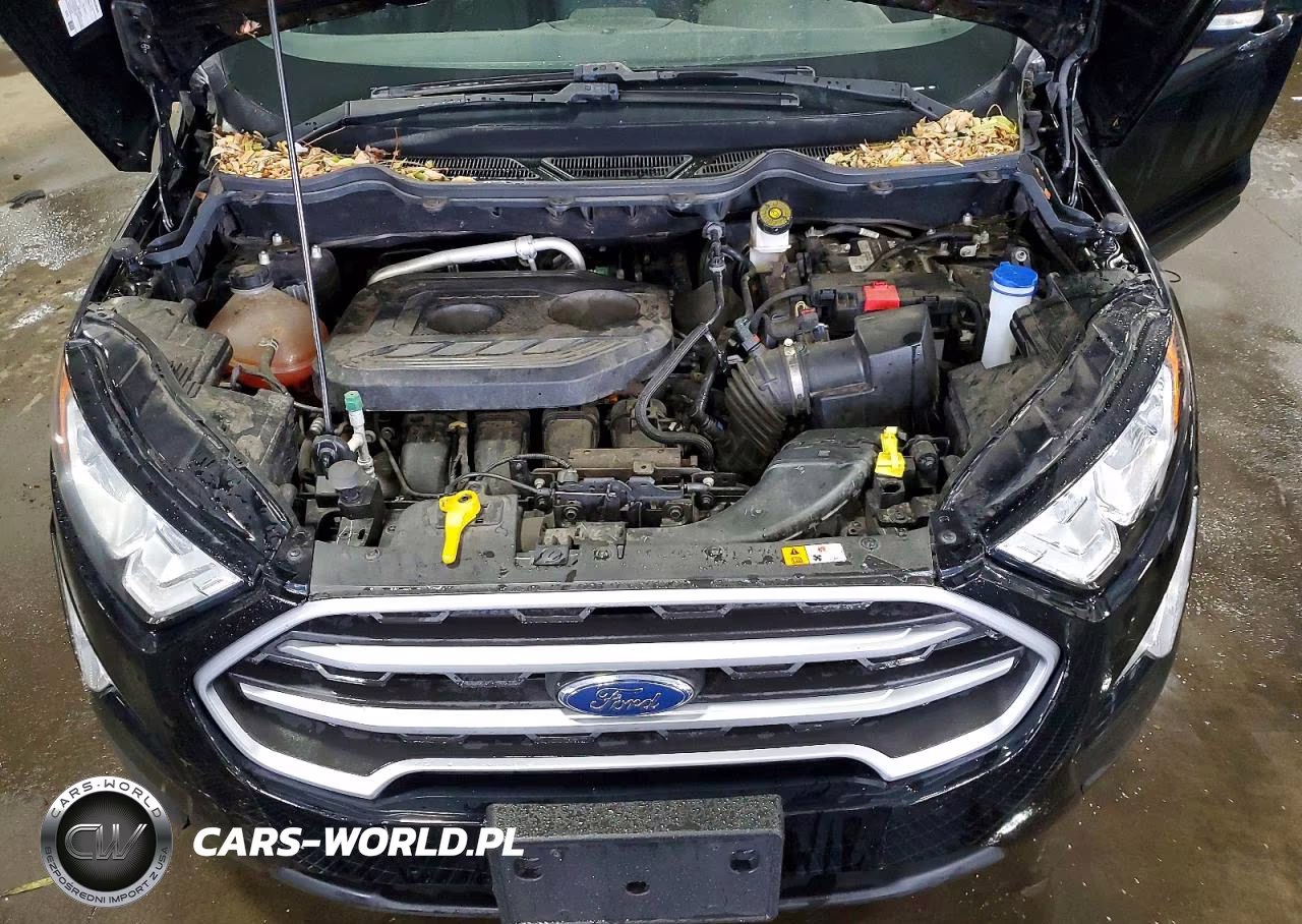 2020 Ford Ecosport Se VIN:MAJ6S3GL2LC358070 - 12