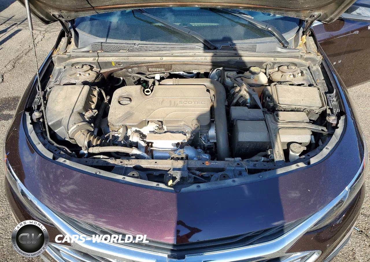 2021 Chevrolet Malibu Lt VIN:1G1ZD5ST7MF007183 - 11