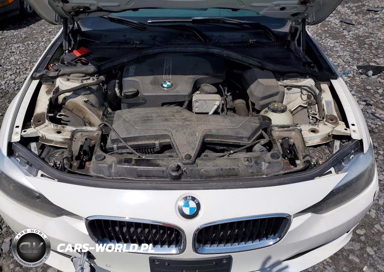 2015 BMW 328 Xi Sulev VIN:WBA3B5G59FNS18422 - 11