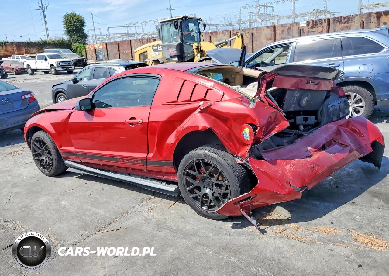 2008 Ford Mustang VIN:1ZVHT80N885196544 - 2