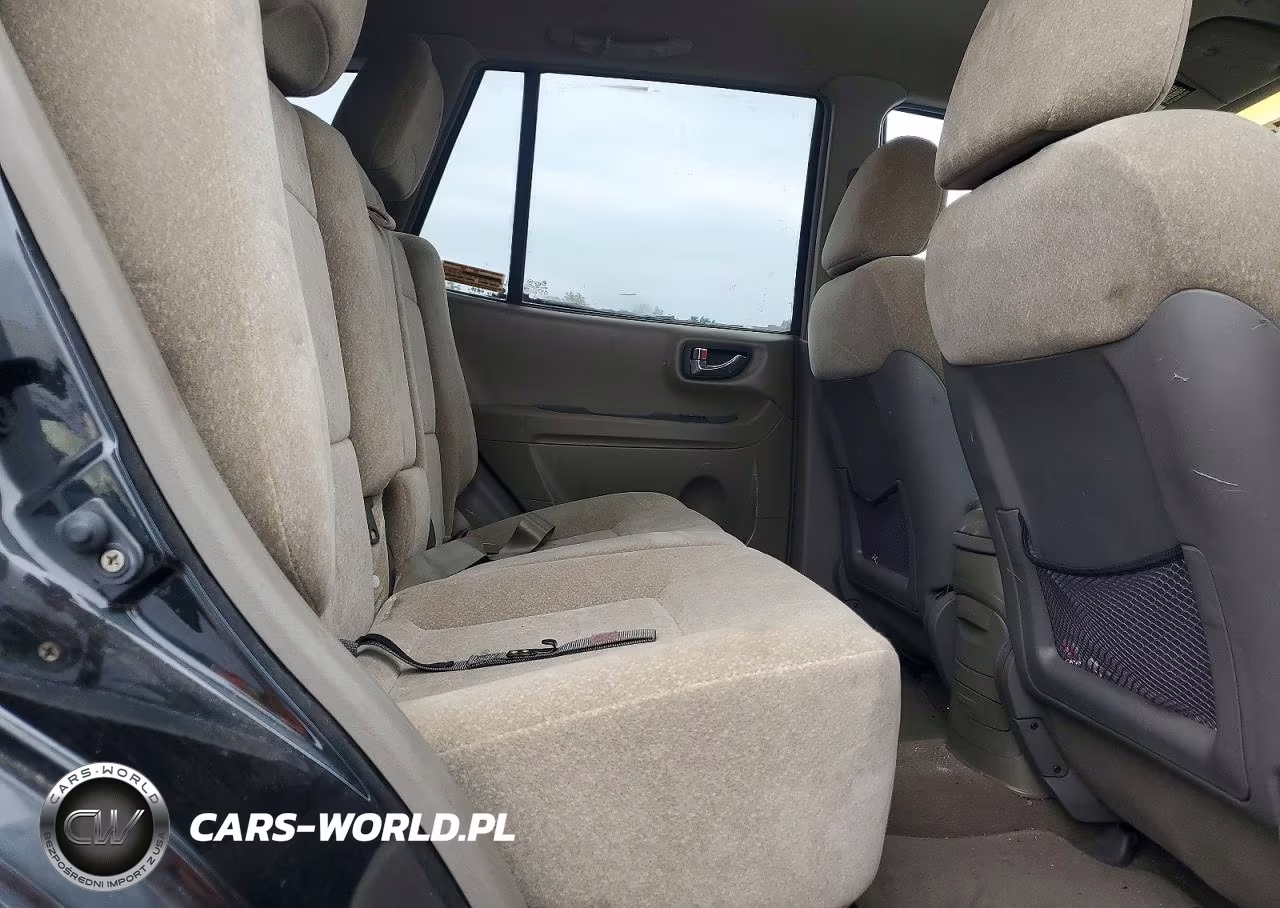 2004 Hyundai Santa Fe Gls VIN:KM8SC73E44U768395 - 10