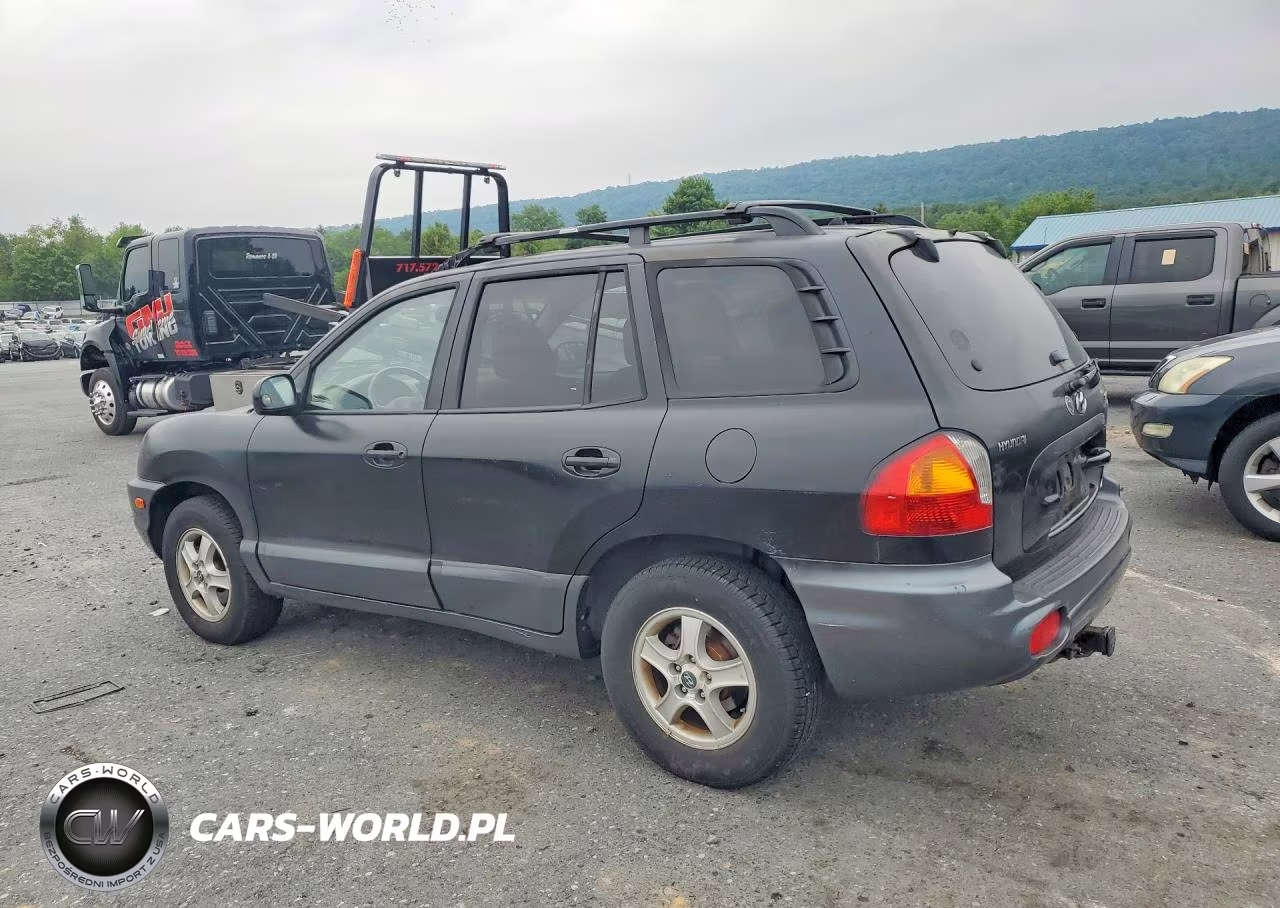 2004 Hyundai Santa Fe Gls VIN:KM8SC73E44U768395 - 2