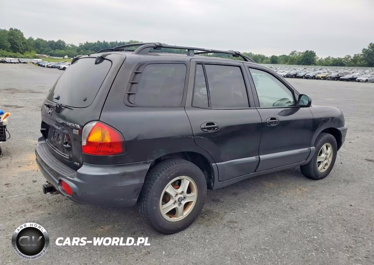 2004 Hyundai Santa Fe Gls VIN:KM8SC73E44U768395 - 3