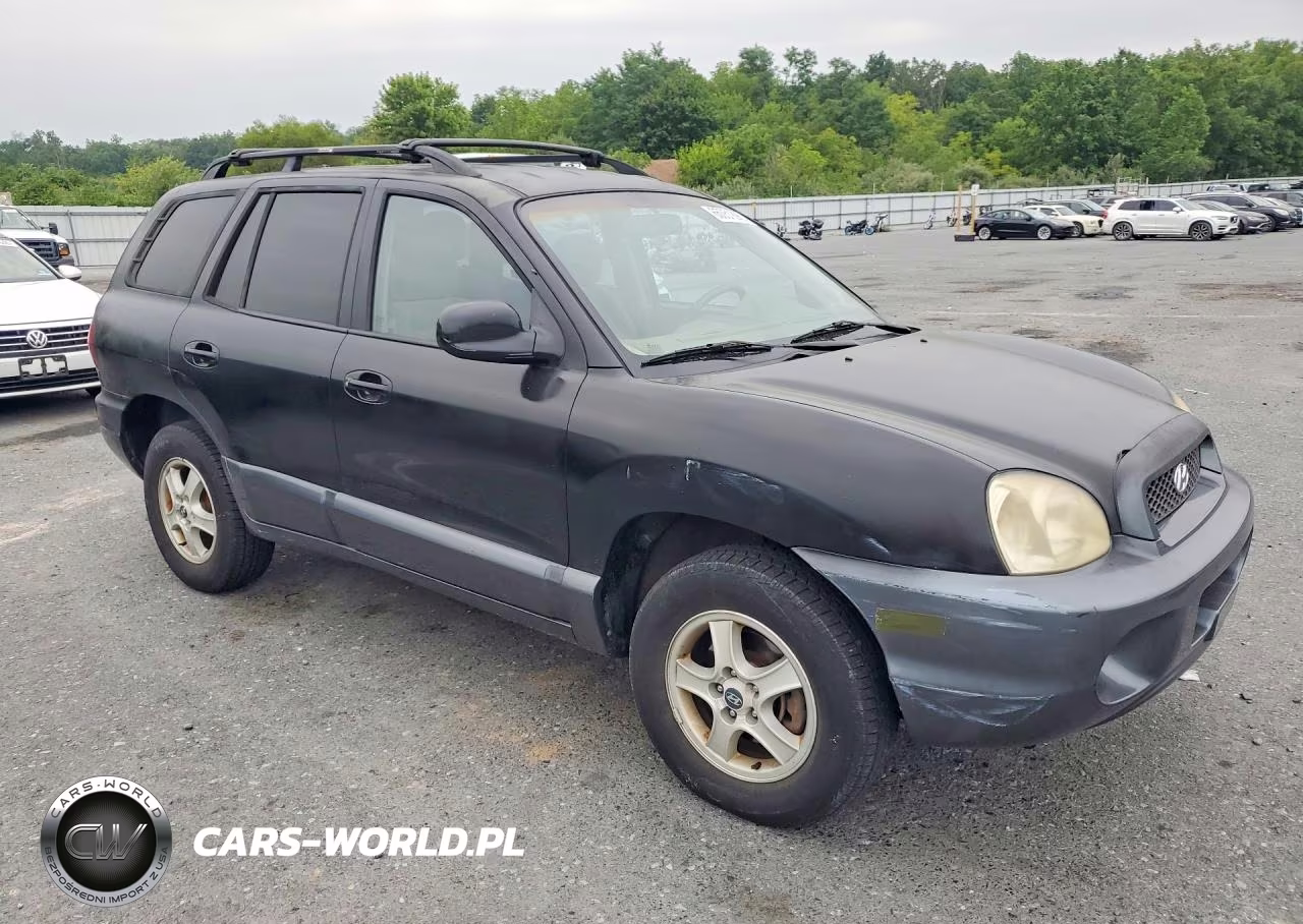 2004 Hyundai Santa Fe Gls VIN:KM8SC73E44U768395 - 4