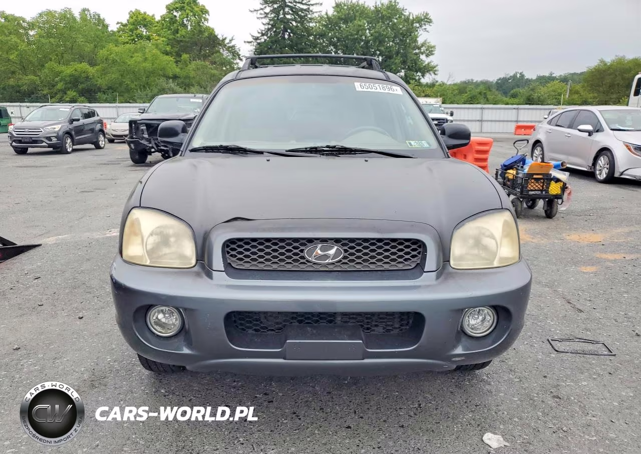 2004 Hyundai Santa Fe Gls VIN:KM8SC73E44U768395 - 5