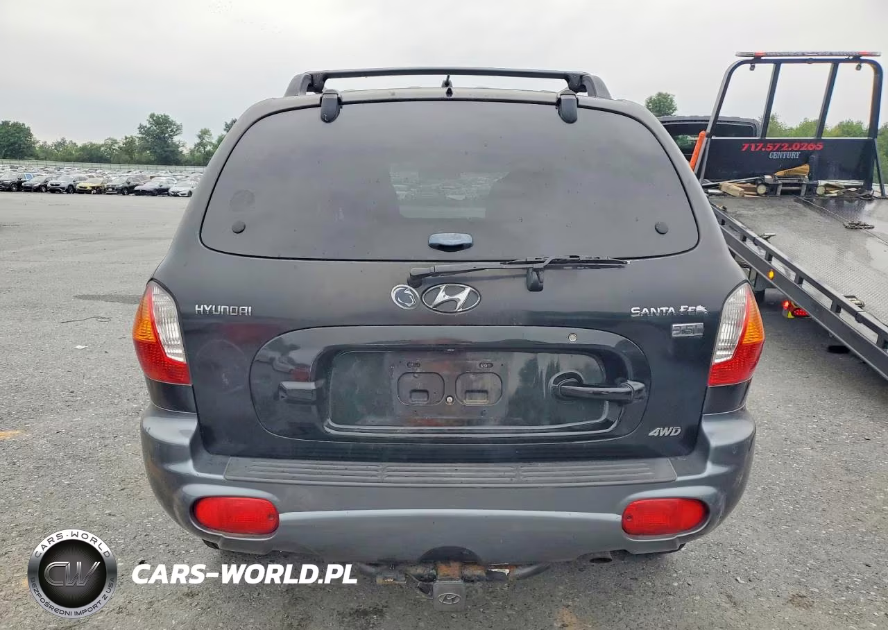 2004 Hyundai Santa Fe Gls VIN:KM8SC73E44U768395 - 6