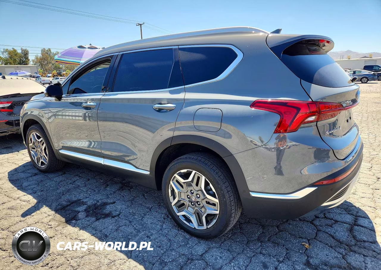 2023 Hyundai Santa Fe Limited VIN:5NMS5DA10PH021451 - 2
