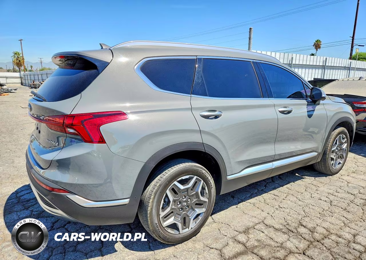 2023 Hyundai Santa Fe Limited VIN:5NMS5DA10PH021451 - 3