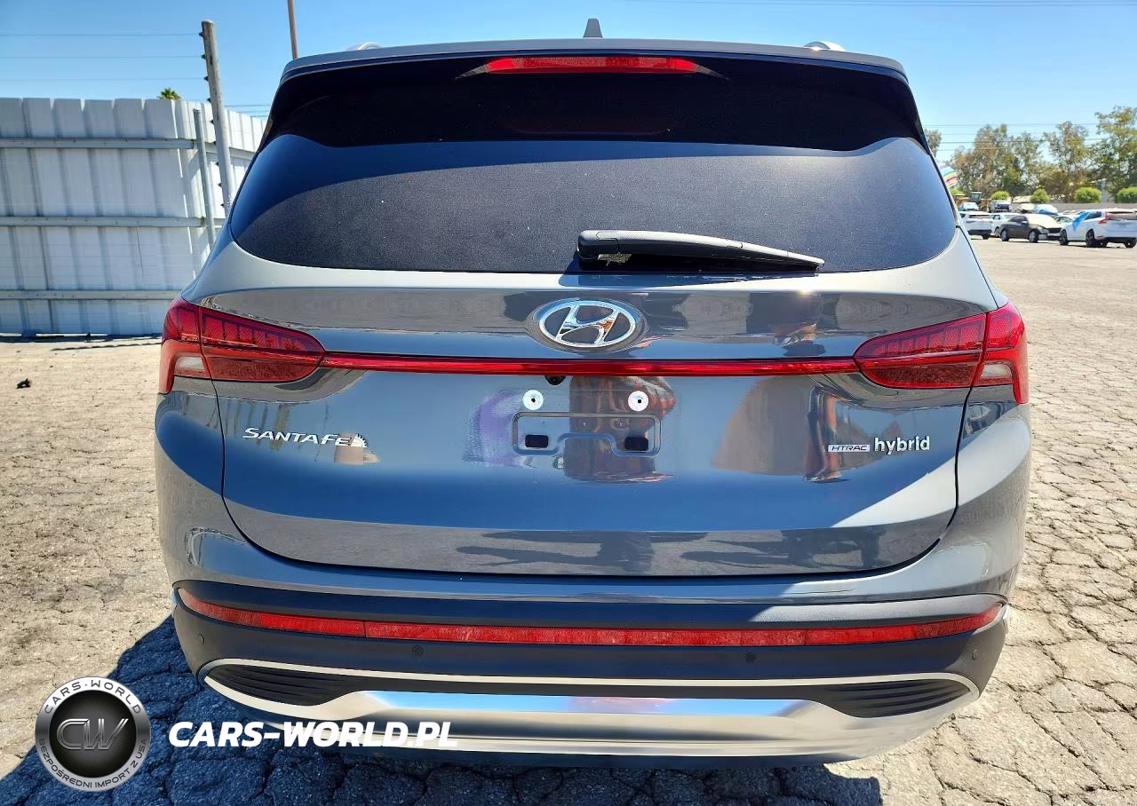 2023 Hyundai Santa Fe Limited VIN:5NMS5DA10PH021451 - 6