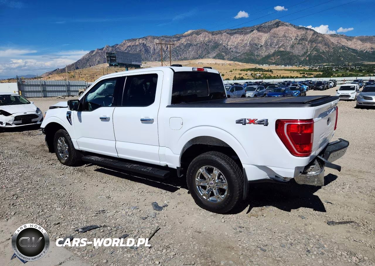 2023 Ford F150 Supercrew VIN:1FTFW1E82PKD12641 - 2