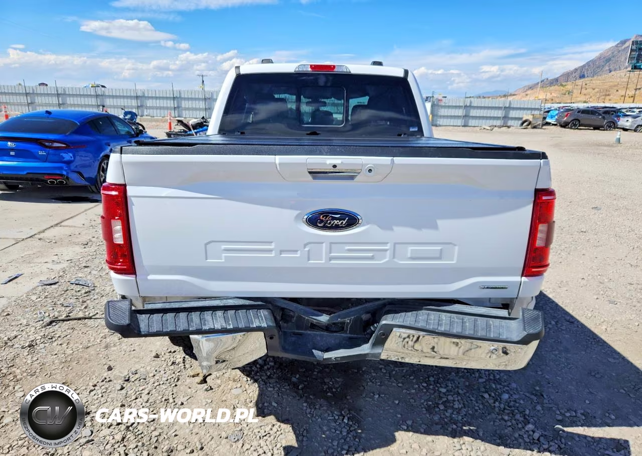 2023 Ford F150 Supercrew VIN:1FTFW1E82PKD12641 - 6