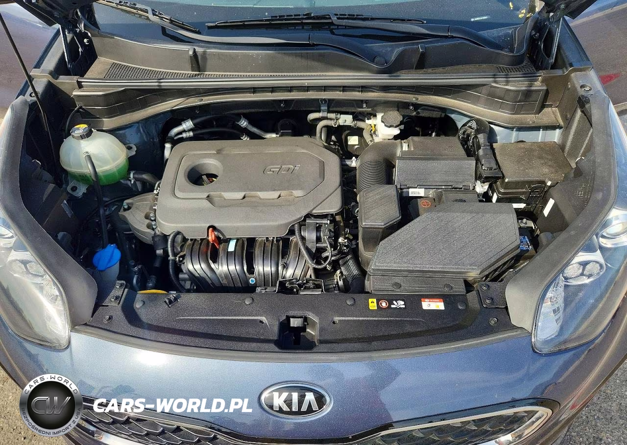 2020 Kia Sportage Lx VIN:KNDPM3AC1L7826851 - 12