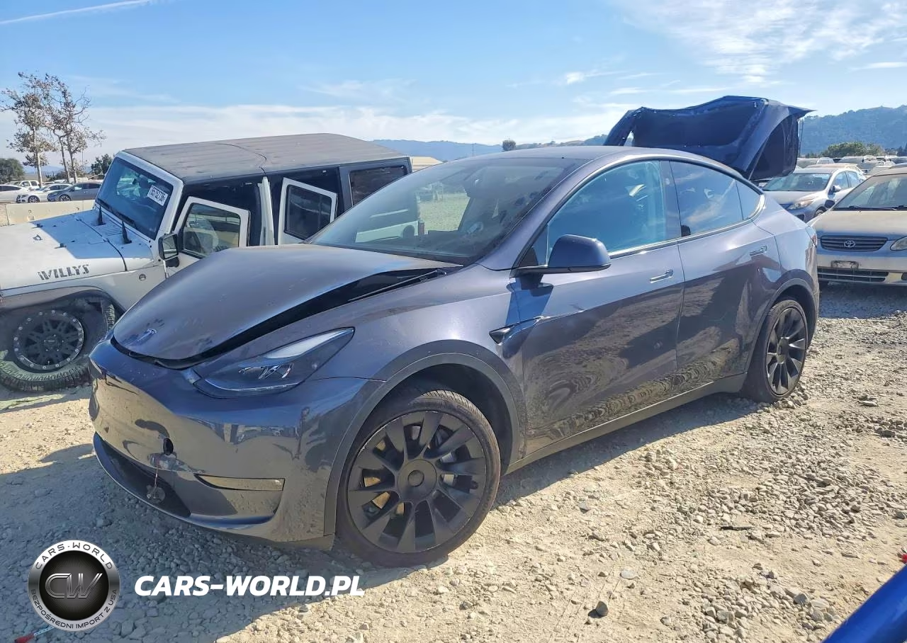 2023 Tesla Model Y VIN:7SAYGDEDXPF946347 - 1