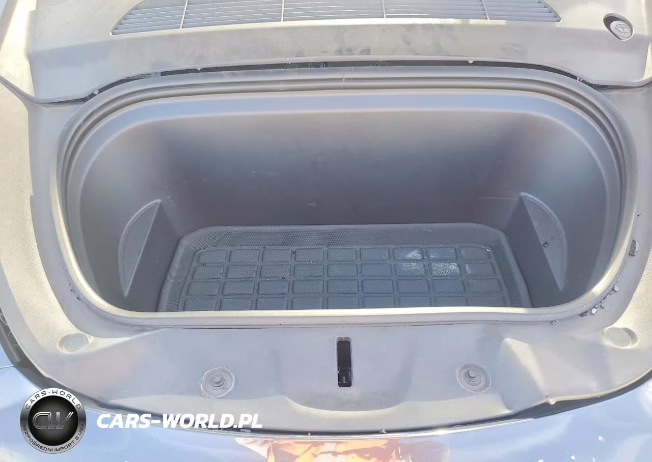 2023 Tesla Model Y VIN:7SAYGDEDXPF946347 - 12