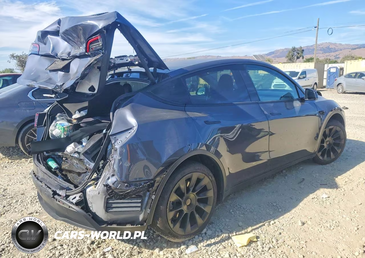 2023 Tesla Model Y VIN:7SAYGDEDXPF946347 - 3