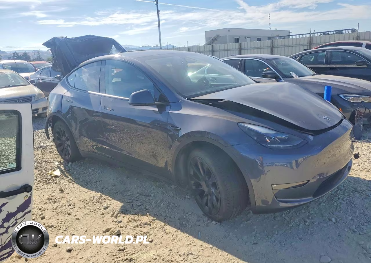 2023 Tesla Model Y VIN:7SAYGDEDXPF946347 - 4