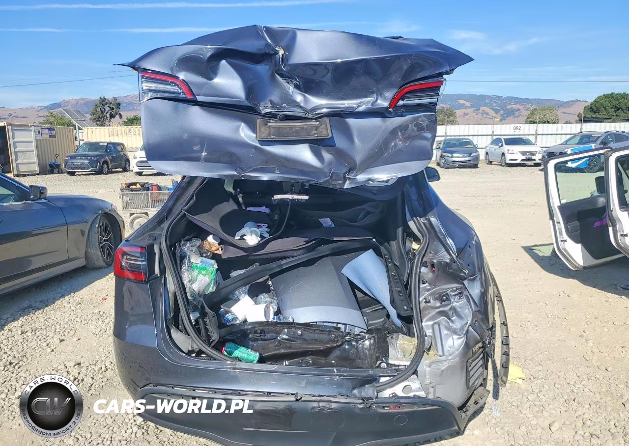 2023 Tesla Model Y VIN:7SAYGDEDXPF946347 - 6