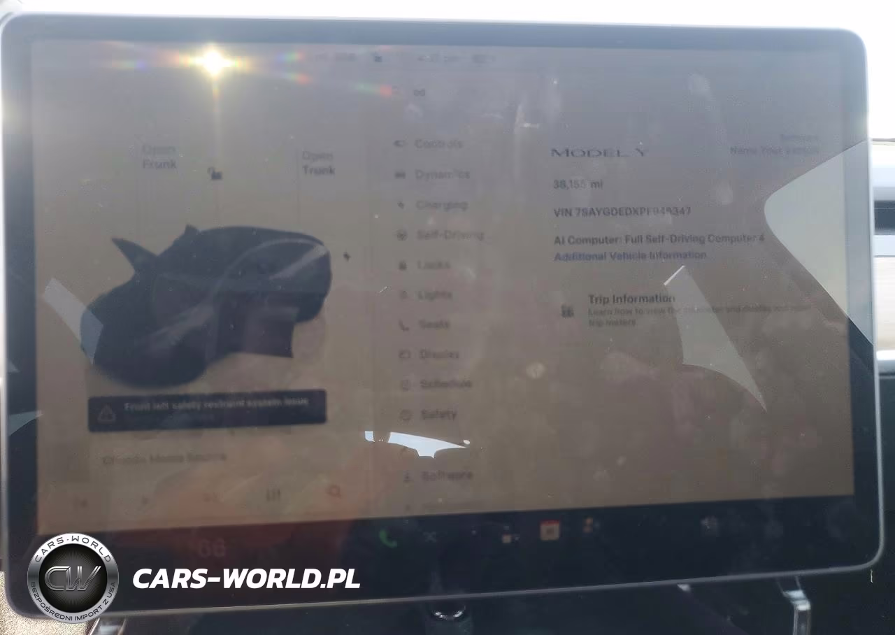 2023 Tesla Model Y VIN:7SAYGDEDXPF946347 - 9