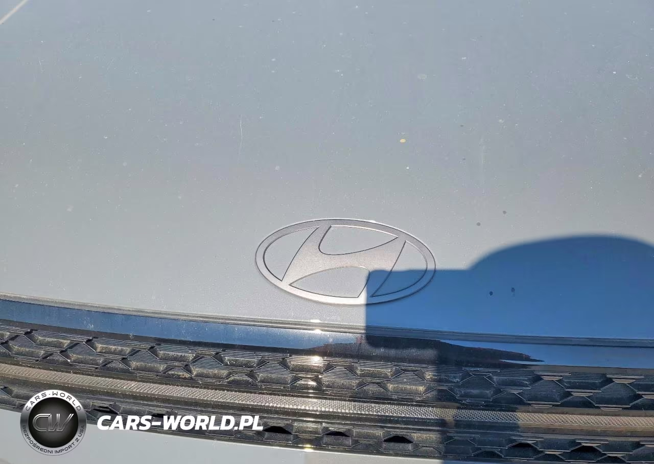 2024 Hyundai Santa Fe Calligraphy VIN:5NMP54GL7RH062449 - 11