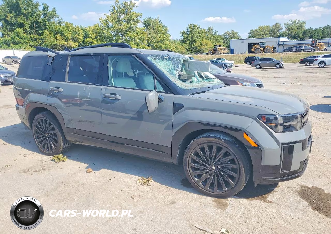 2024 Hyundai Santa Fe Calligraphy VIN:5NMP54GL7RH062449 - 4