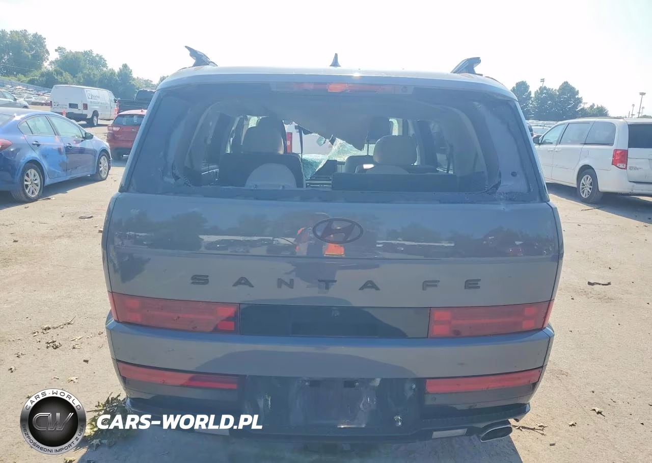 2024 Hyundai Santa Fe Calligraphy VIN:5NMP54GL7RH062449 - 6