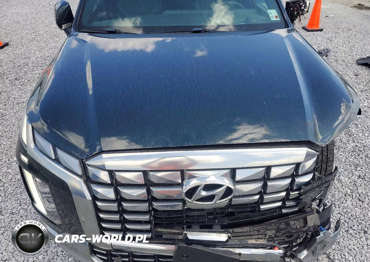 2024 Hyundai Palisade Calligraphy VIN:KM8R74GE8RU710521 - 12