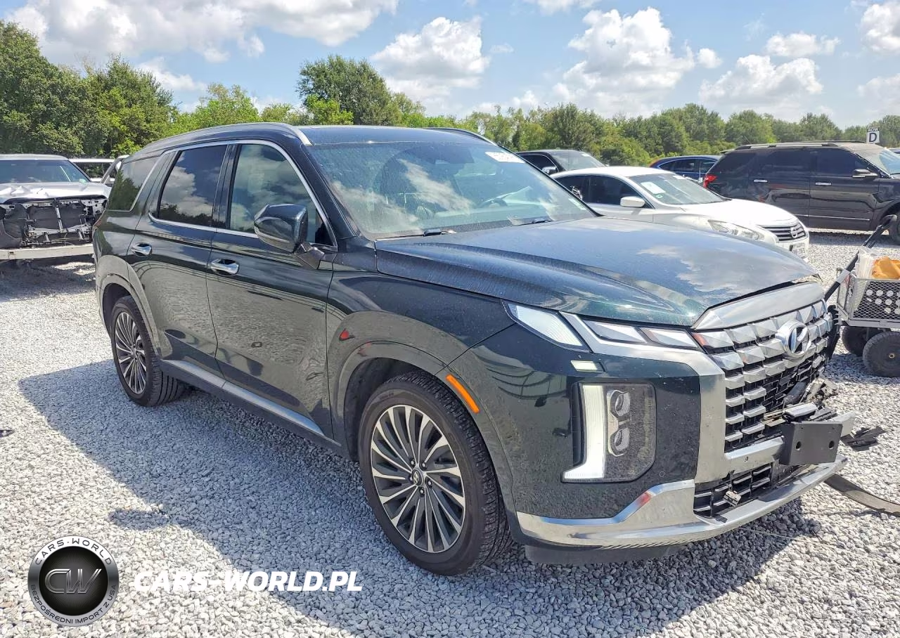 2024 Hyundai Palisade Calligraphy VIN:KM8R74GE8RU710521 - 4