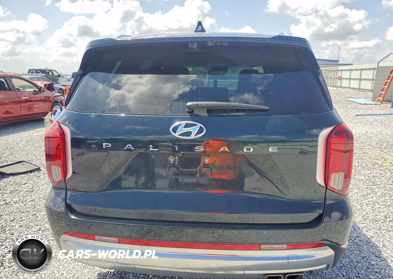 2024 Hyundai Palisade Calligraphy VIN:KM8R74GE8RU710521 - 6