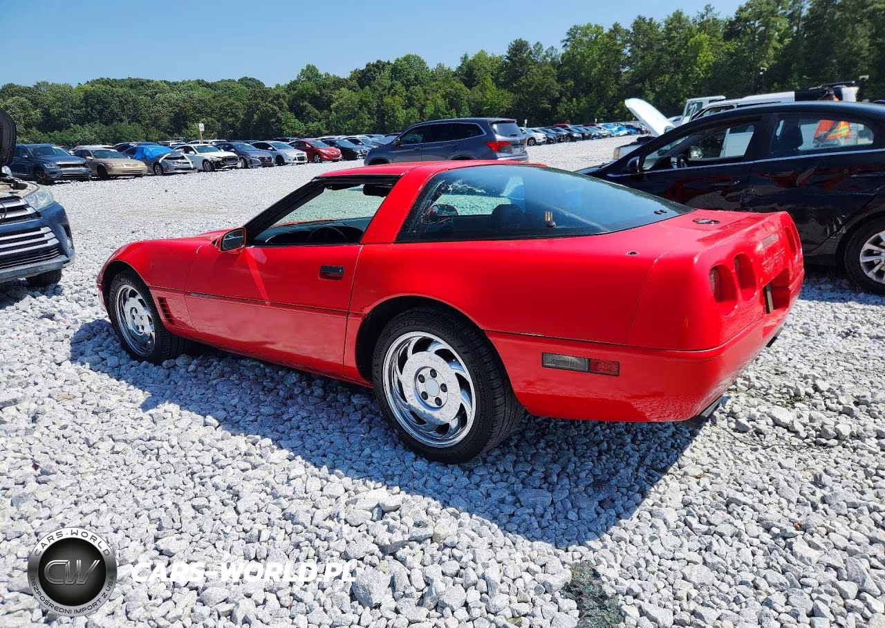 1996 Chevrolet Corvette VIN:1G1YY22P7T5100193 - 2