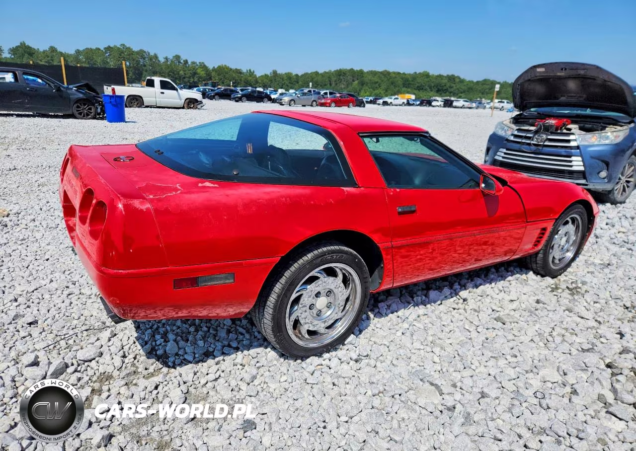 1996 Chevrolet Corvette VIN:1G1YY22P7T5100193 - 3