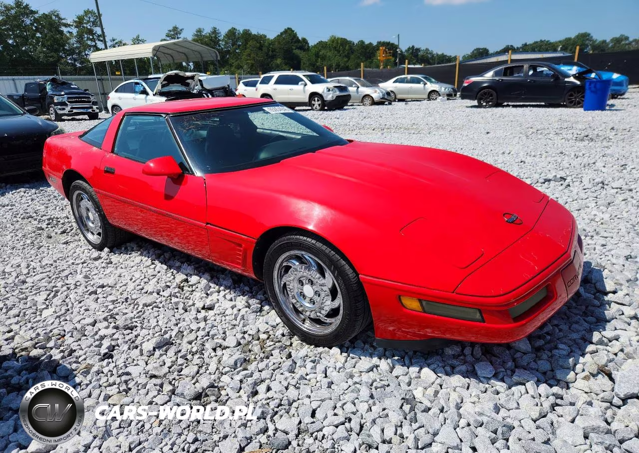 1996 Chevrolet Corvette VIN:1G1YY22P7T5100193 - 4