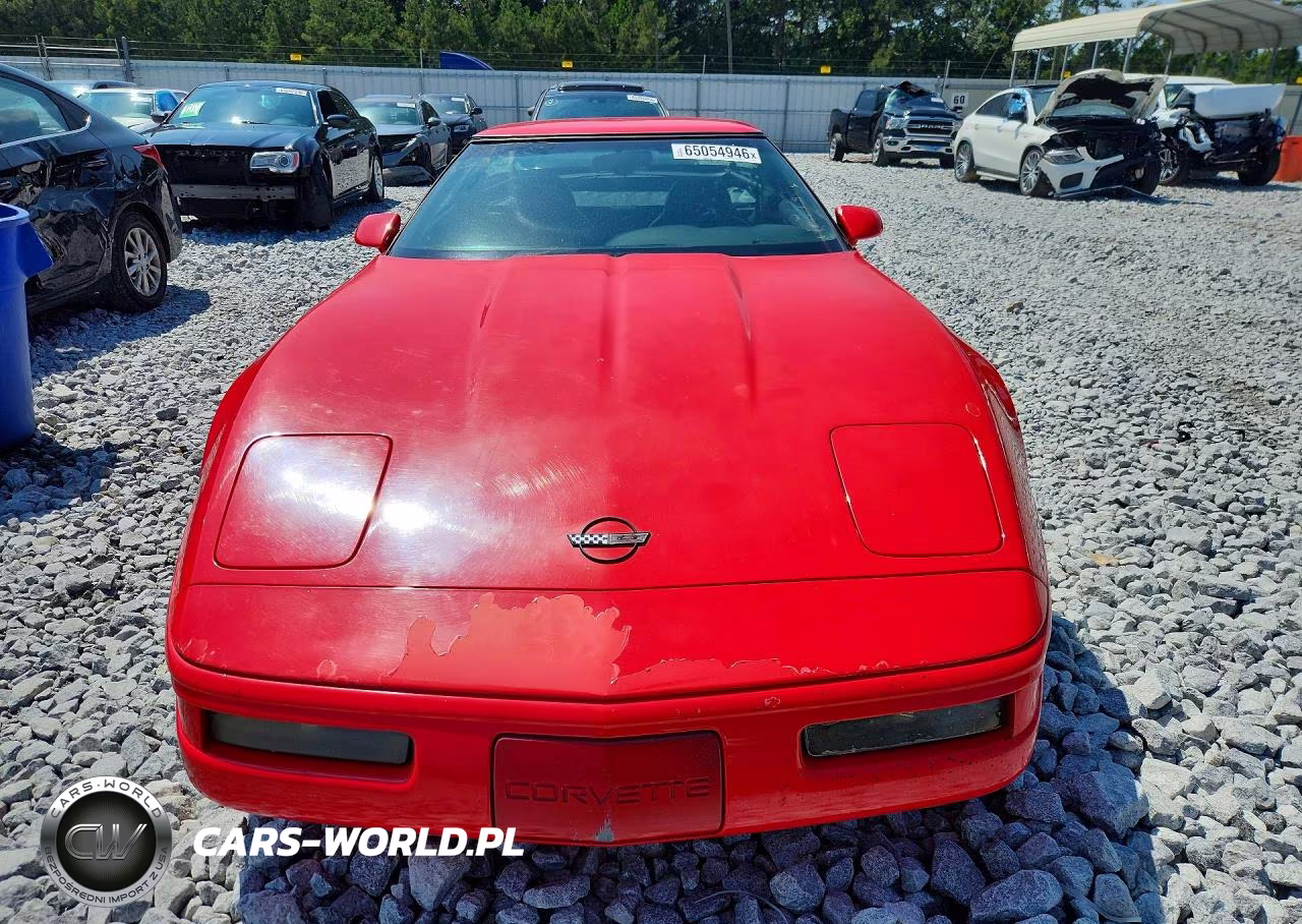 1996 Chevrolet Corvette VIN:1G1YY22P7T5100193 - 5