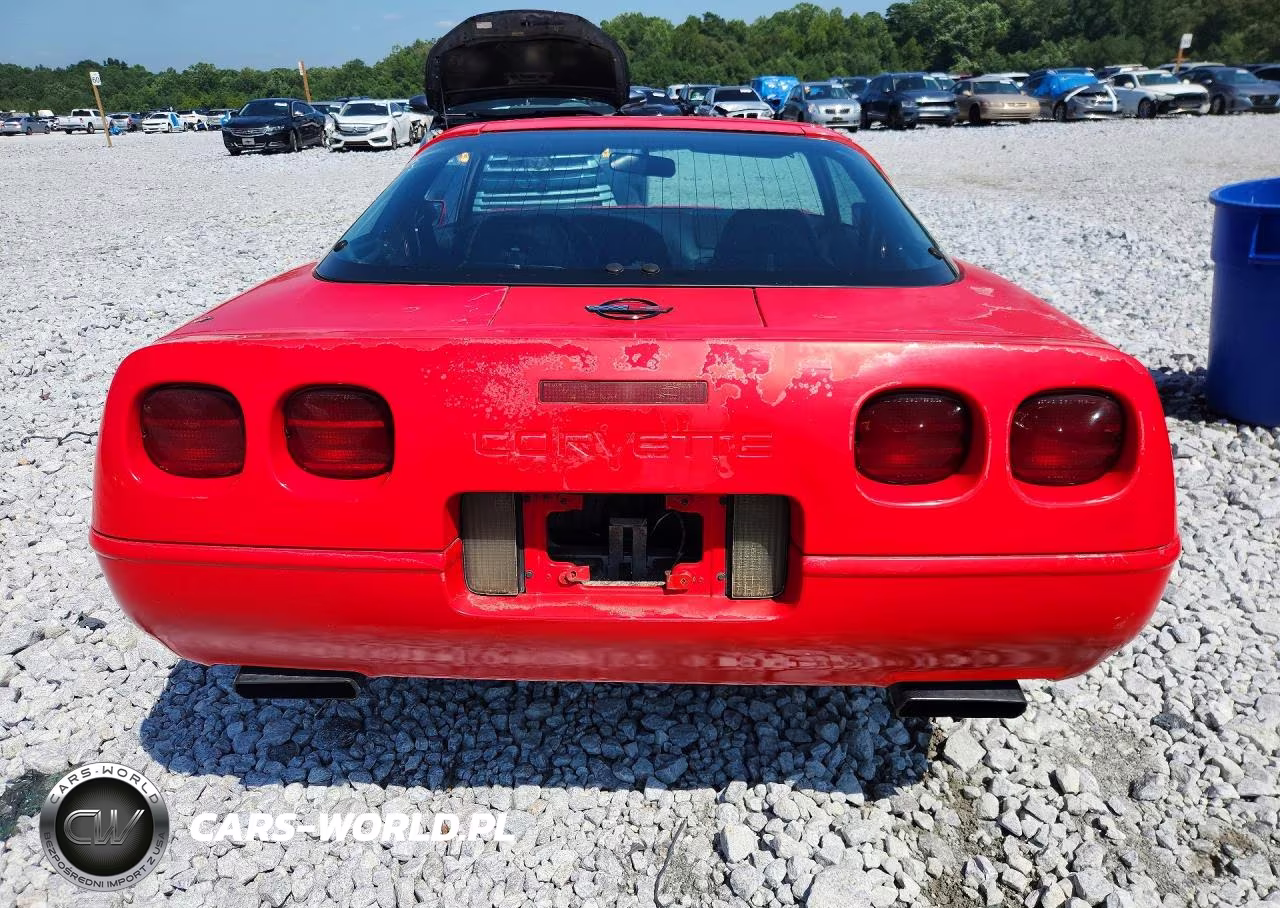 1996 Chevrolet Corvette VIN:1G1YY22P7T5100193 - 6