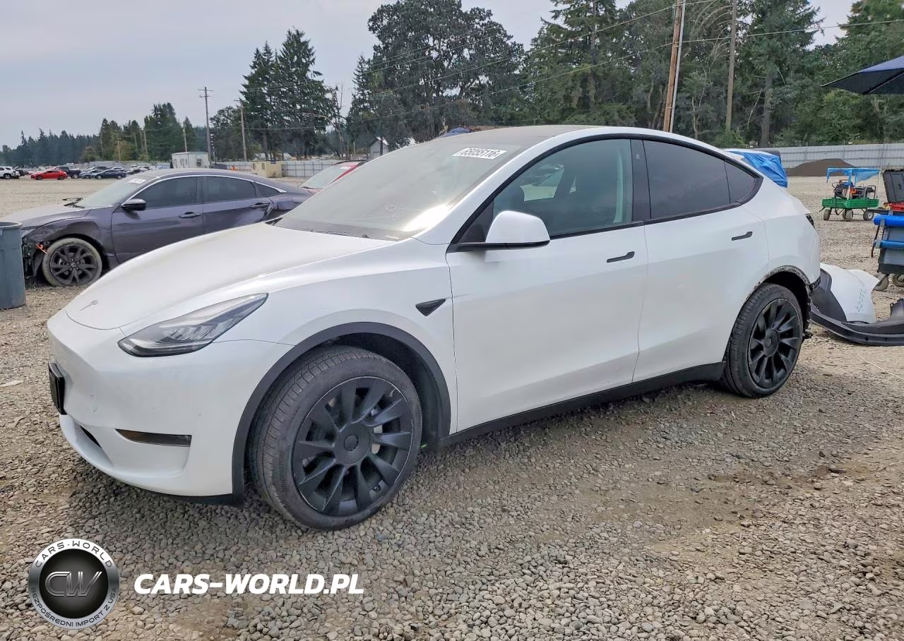 2020 Tesla Model Y – zdjęcie 1 z 14